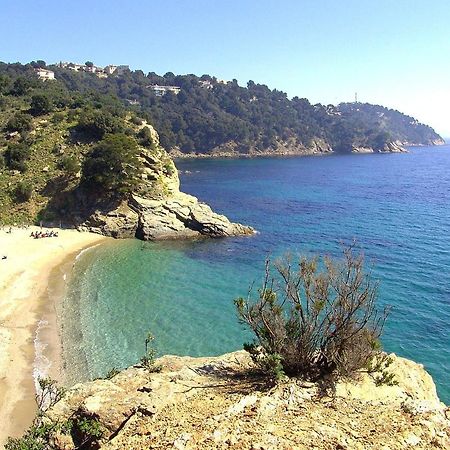 "Ti Sable" Agreable Studio Climatise, Jolie Vue Mer, Piscine A Cavalaire Sur Mer Golfe De St-Tropez Exterior foto