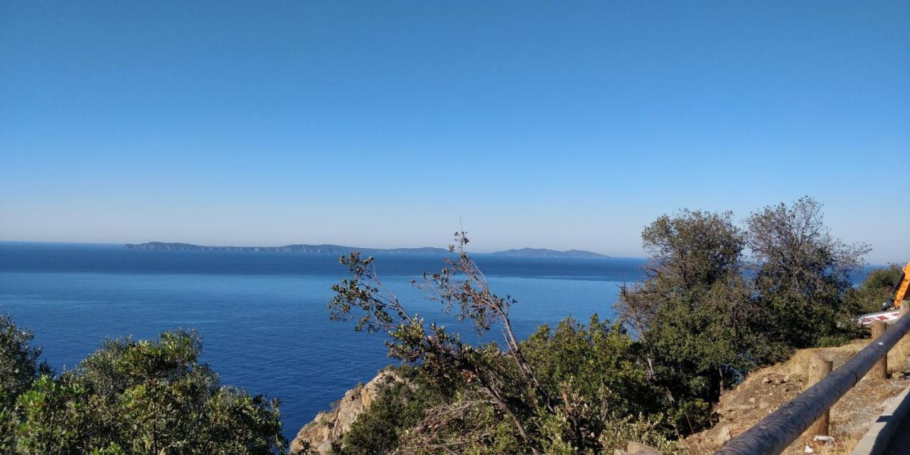 "Ti Sable" Agreable Studio Climatise, Jolie Vue Mer, Piscine A Cavalaire Sur Mer Golfe De St-Tropez Exterior foto